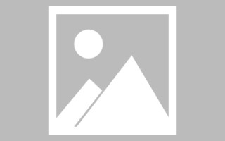 南宁网页设计英文默认字体（网页设置英文转换中文）